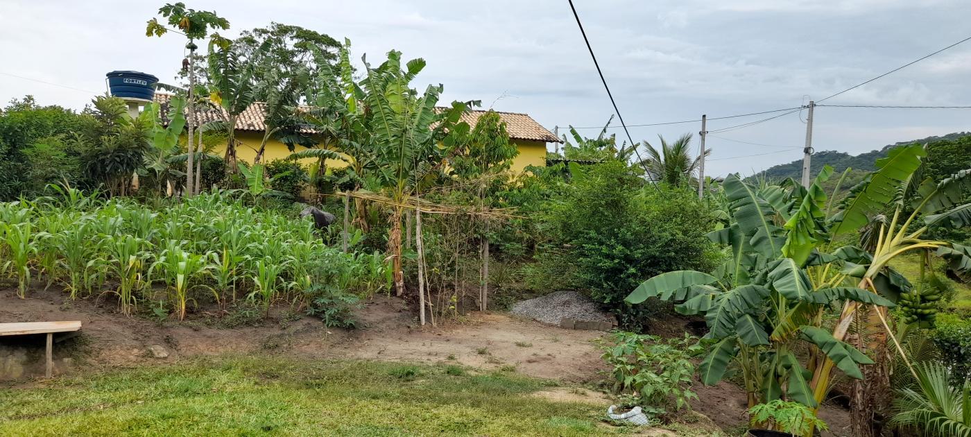 Fazenda à venda com 1 quarto, 1200m² - Foto 17