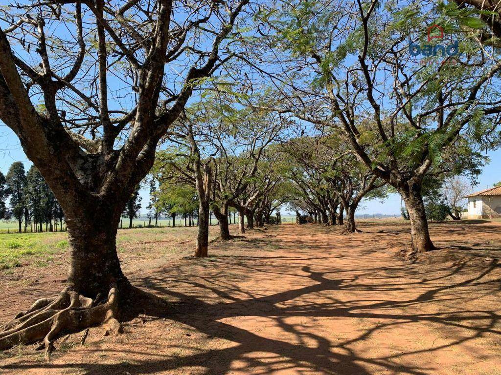 Haras e Área Rural Padrão à venda com 8 quartos, 1000m² - Foto 26