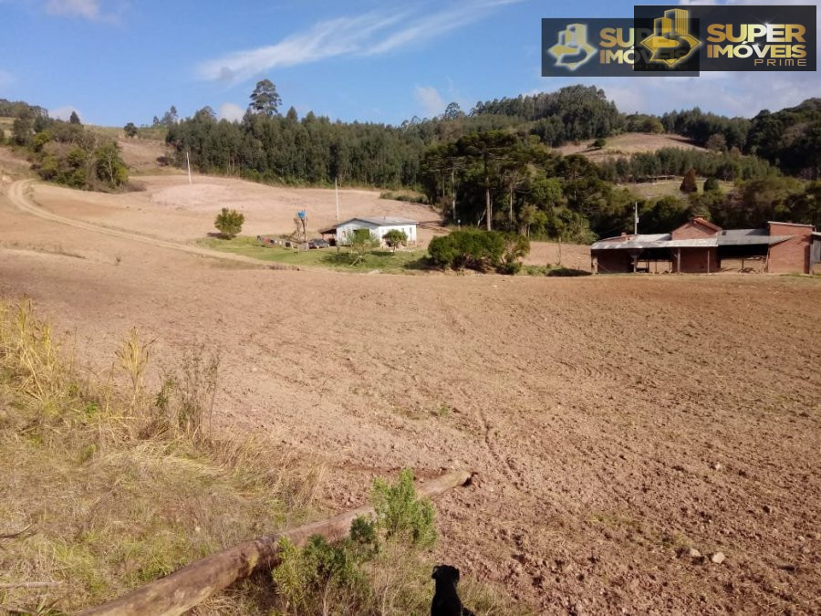 Fazenda à venda com 2 quartos, 450000m² - Foto 13