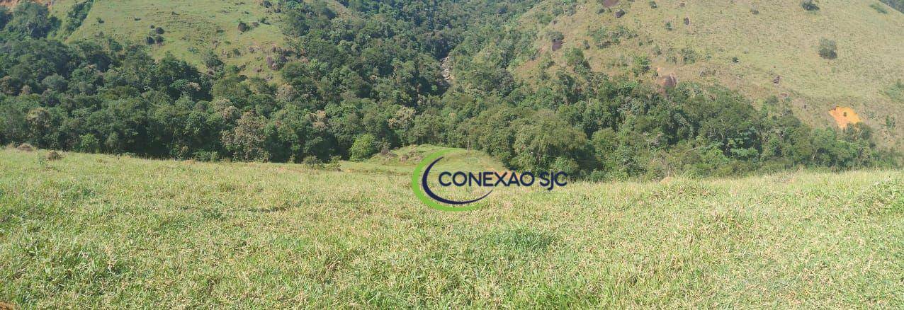 Sítio à venda com 2 quartos, 726000M2 - Foto 5
