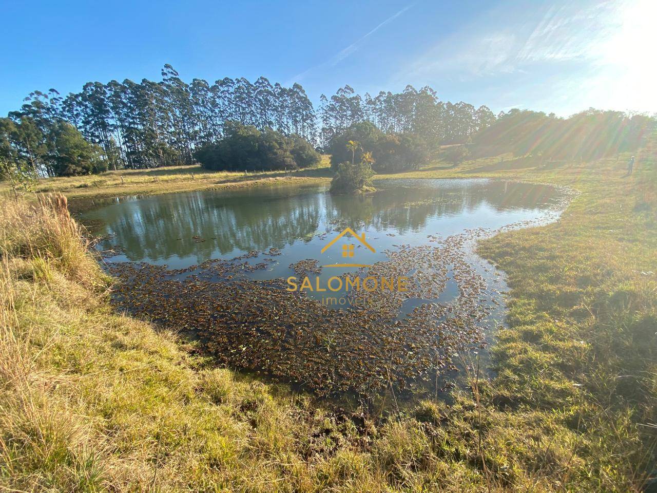 Sítio, 13 hectares - Foto 16