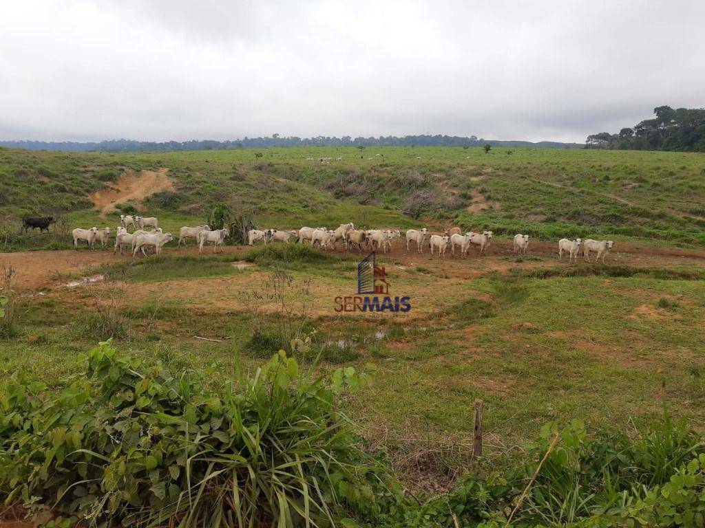 Fazenda à venda com 1 quarto, 31944000M2 - Foto 9