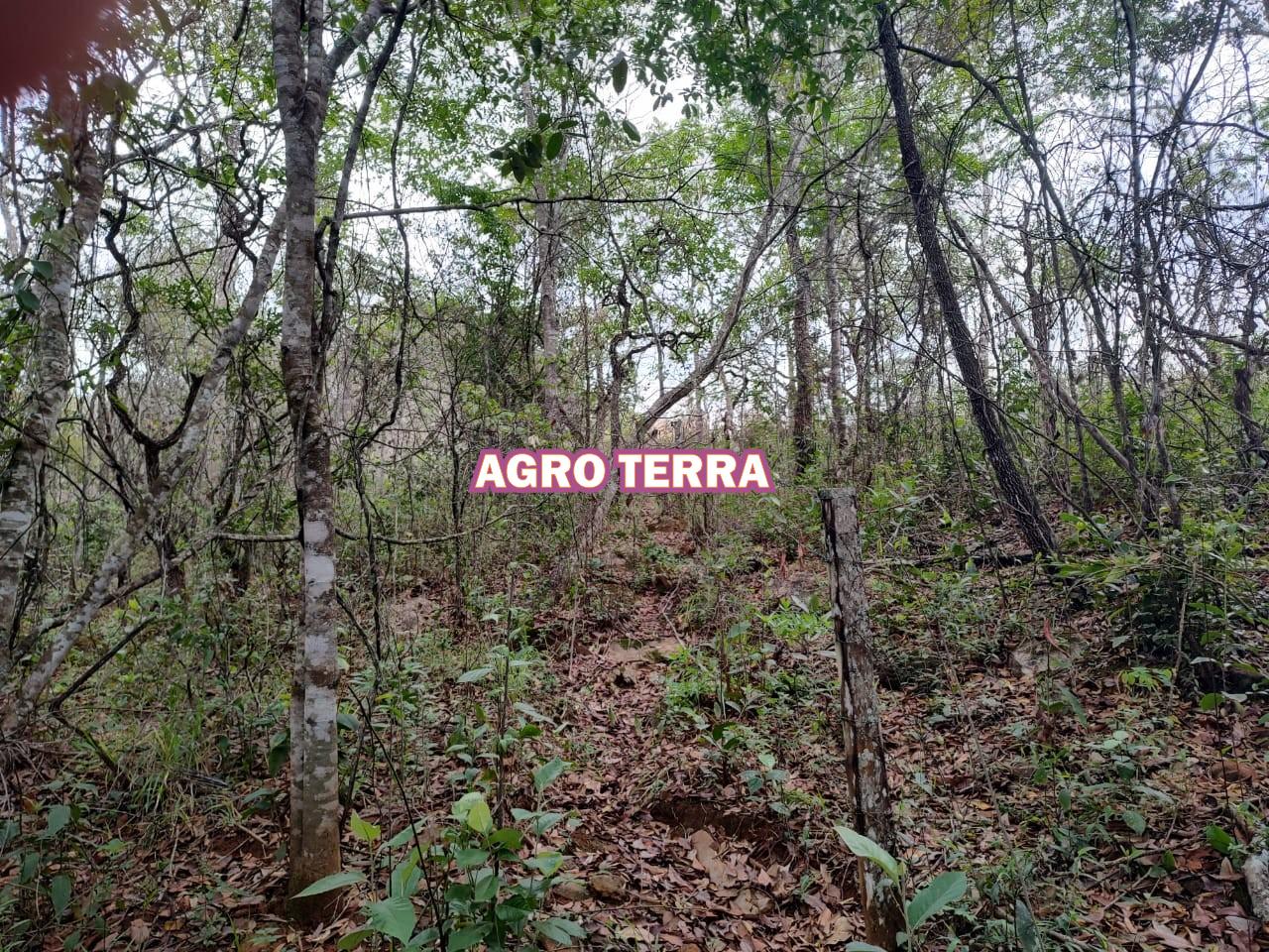 Fazenda, 18 m² - Foto 5