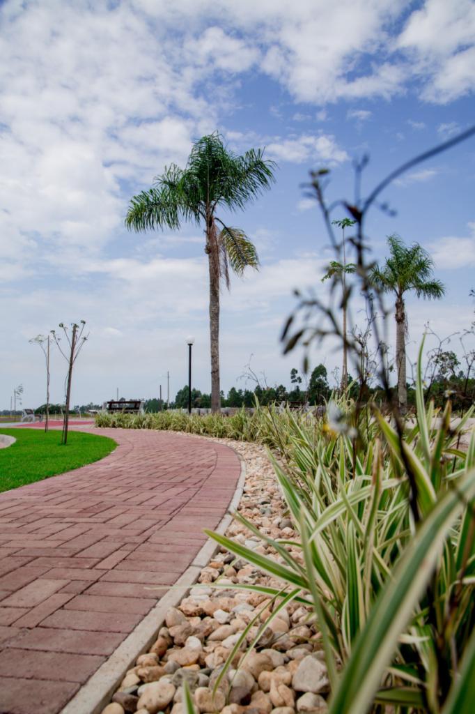 Terreno à venda, 371m² - Foto 8