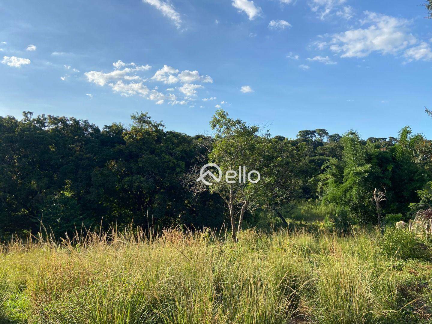Sítio à venda com 6 quartos, 22700M2 - Foto 5