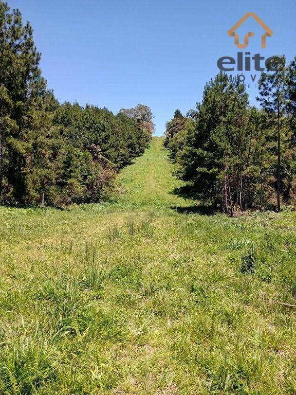 Chácara à venda, 12000M2 - Foto 1