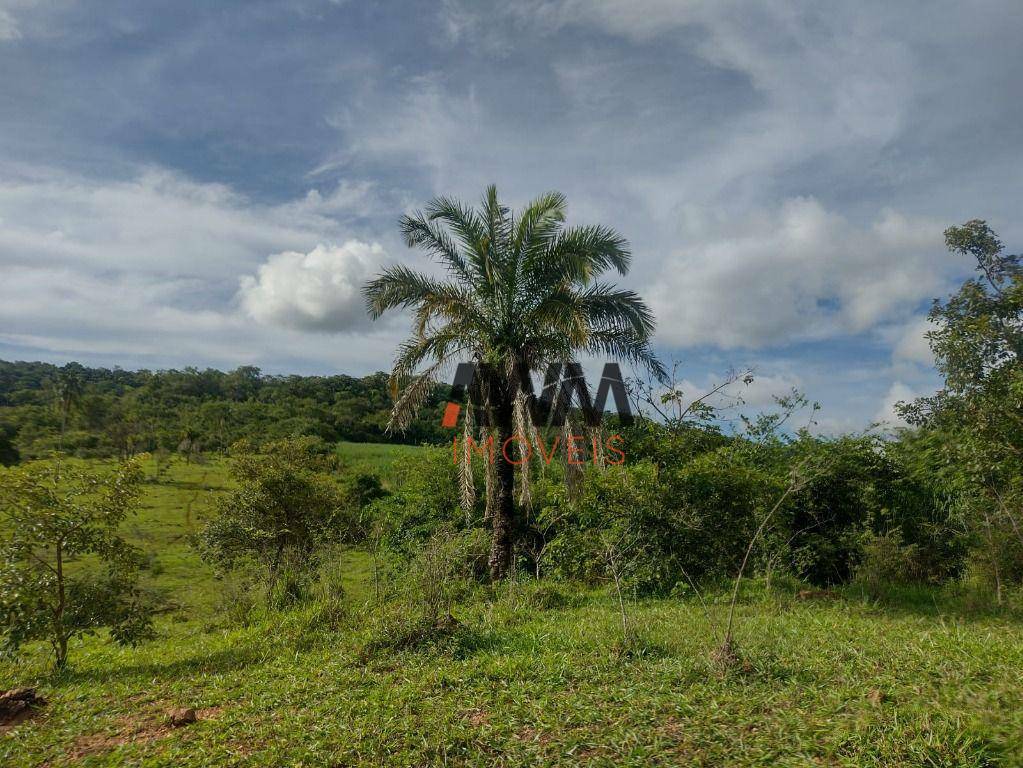 Fazenda à venda, 871200M2 - Foto 4