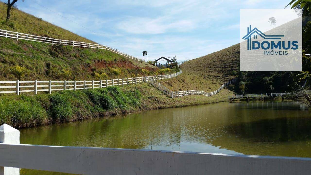 Fazenda à venda com 3 quartos, 459800M2 - Foto 6