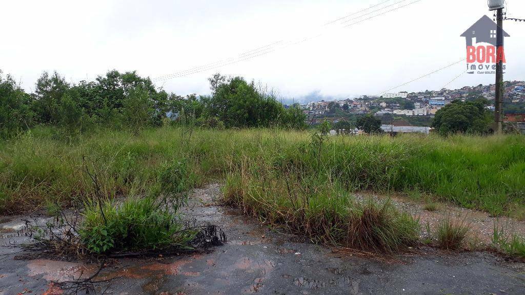 Terreno à venda, 7400M2 - Foto 3