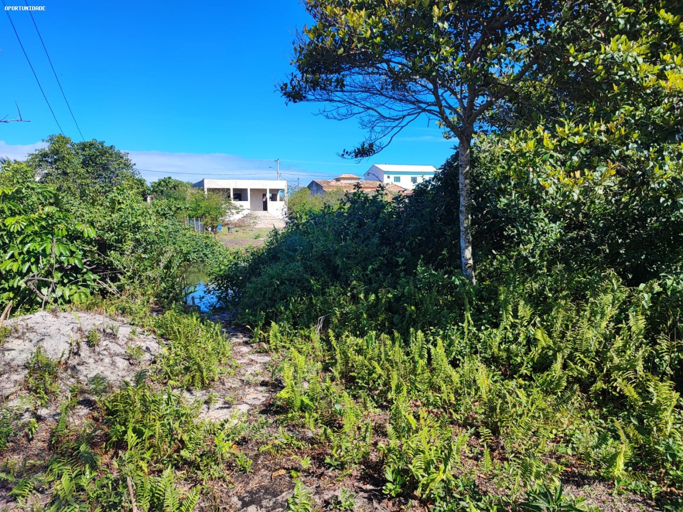Terreno à venda, 565m² - Foto 4