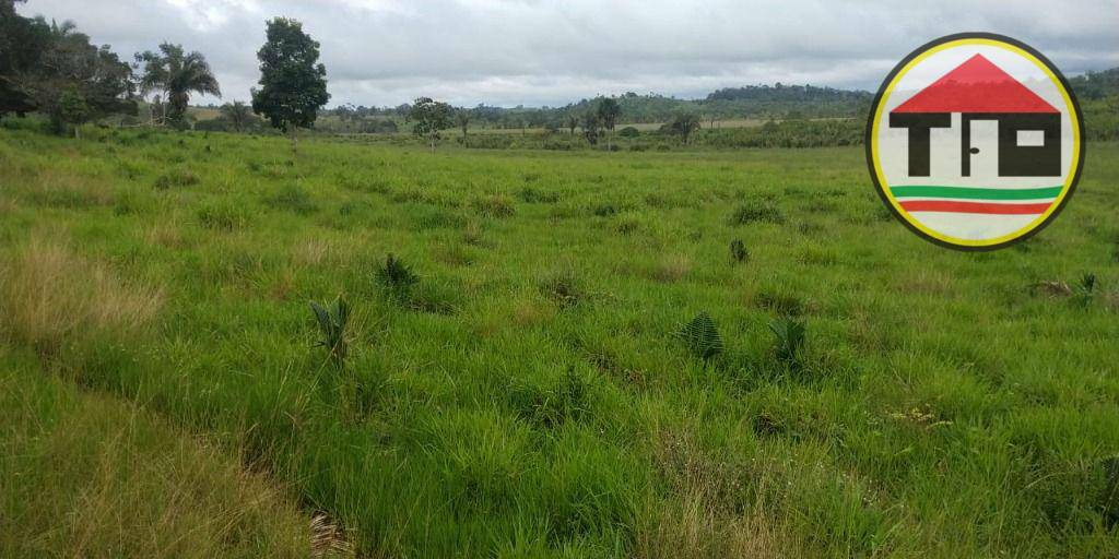 Fazenda à venda, 1452000M2 - Foto 2