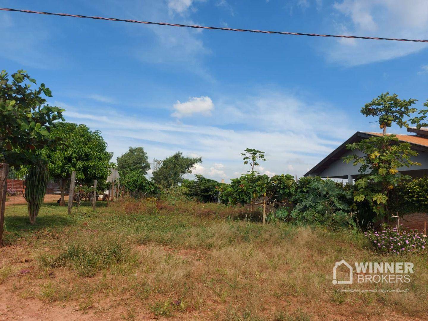 Chácara à venda com 3 quartos, 1500M2 - Foto 47