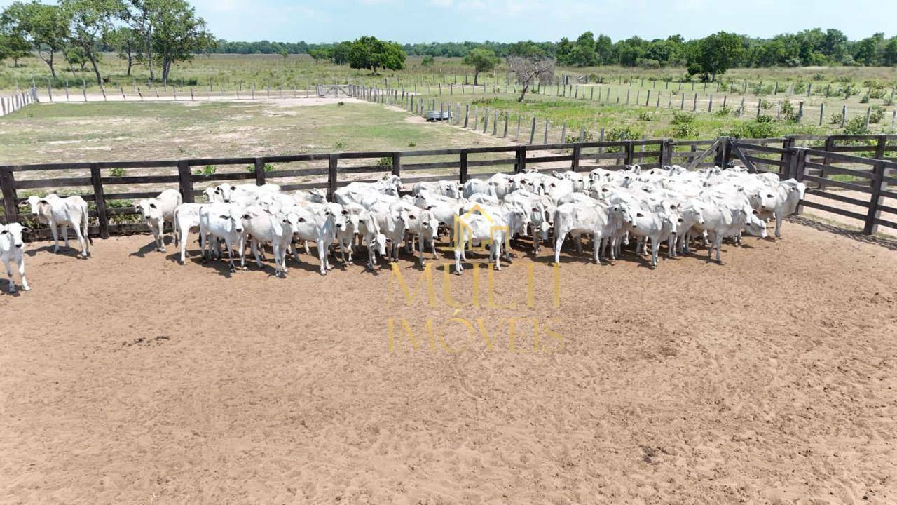 Fazenda à venda, 69510000M2 - Foto 7