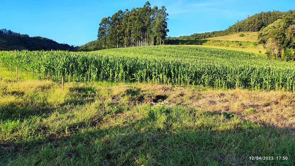 Fazenda à venda, 24m² - Foto 5