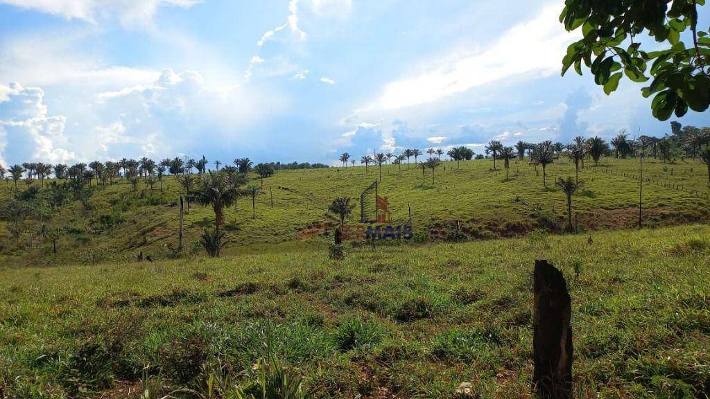 Fazenda à venda com 4 quartos, 6001600M2 - Foto 2