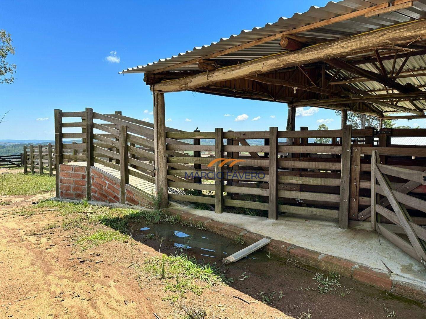 Fazenda à venda, 1065000M2 - Foto 14