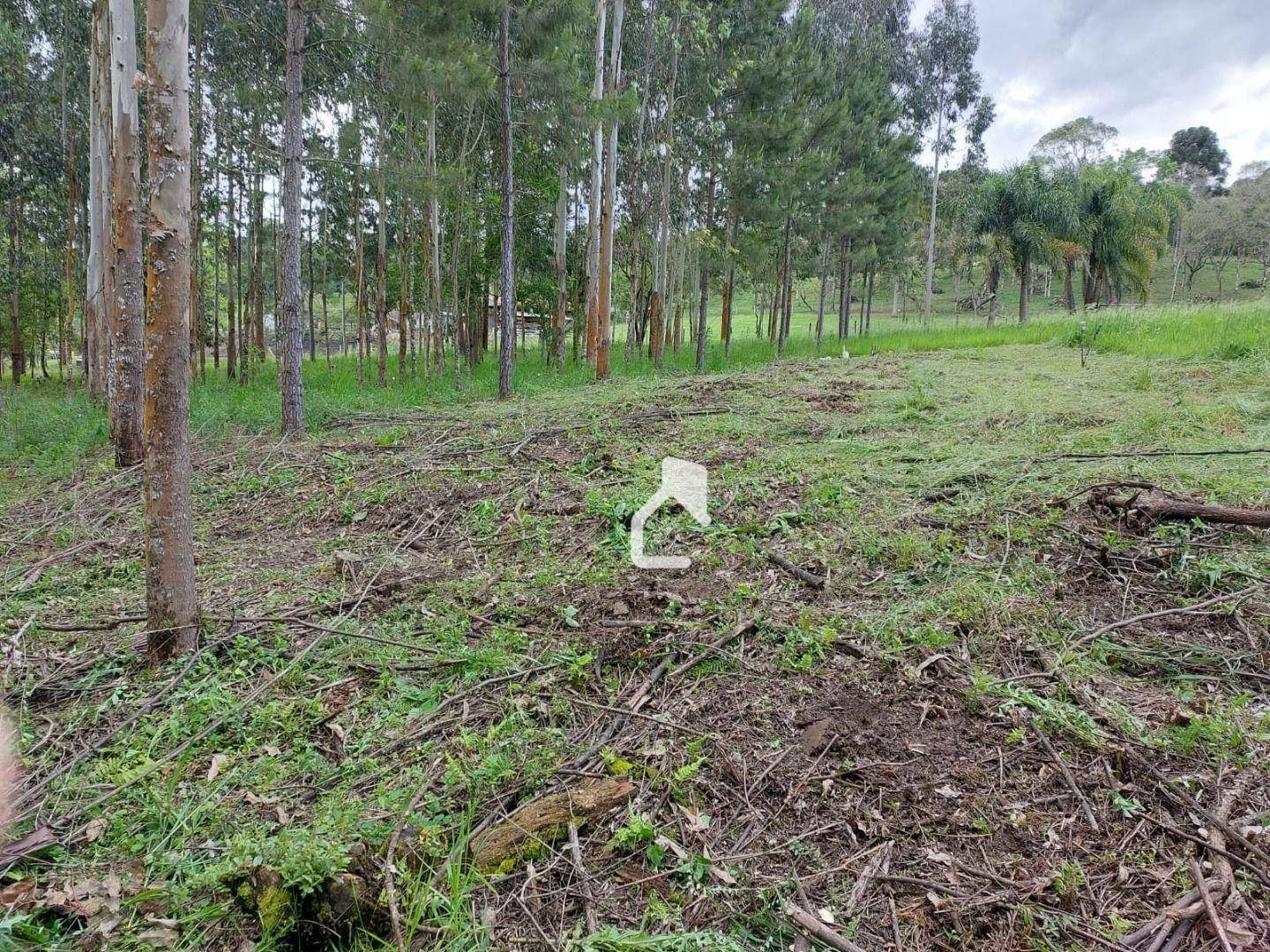 Terreno à venda, 5568M2 - Foto 16