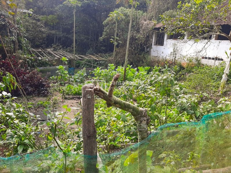 Fazenda à venda com 2 quartos, 1m² - Foto 12