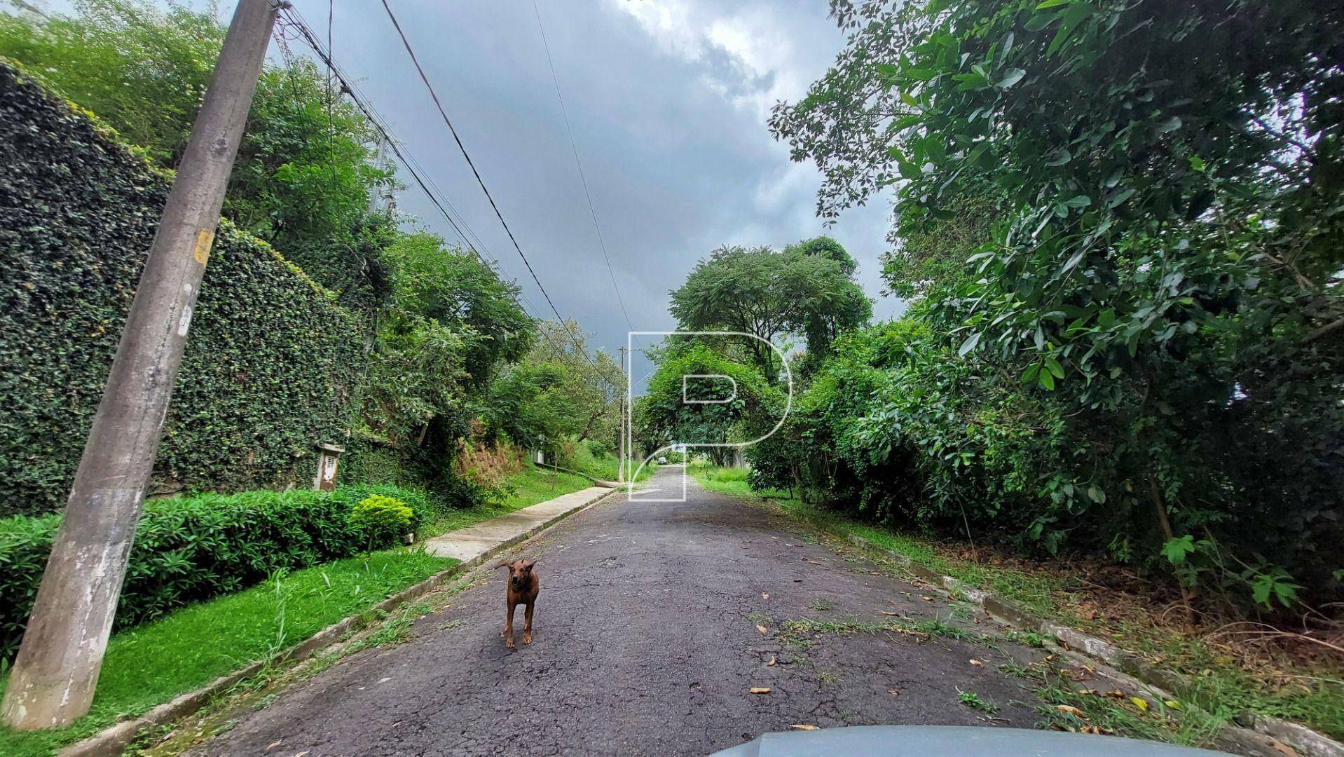 Loteamento e Condomínio à venda, 1500M2 - Foto 6