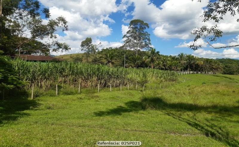 Fazenda à venda com 3 quartos, 200000m² - Foto 9