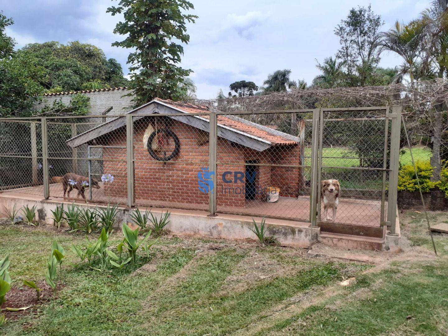 Chácara à venda com 3 quartos, 5050M2 - Foto 23