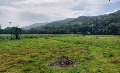 Fazenda à venda com 3 quartos, 290000m² - Foto 21