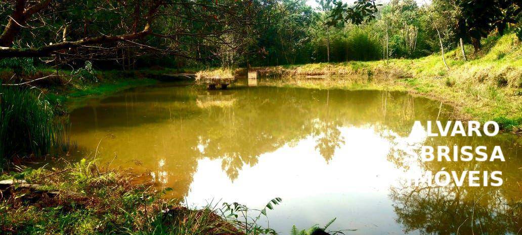 Sítio, 1 quarto, 14 hectares - Foto 30