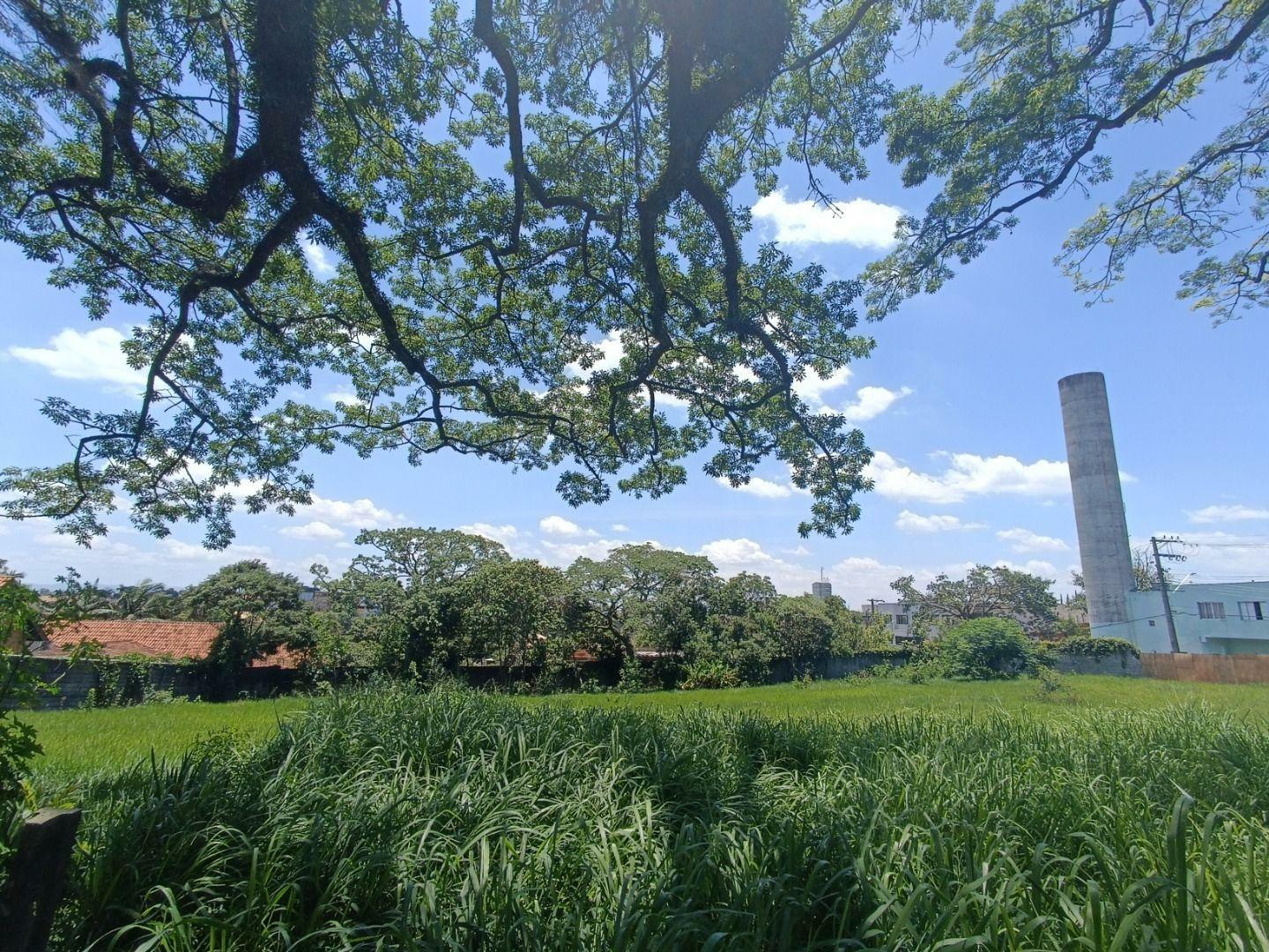 Terreno à venda, 1000M2 - Foto 4