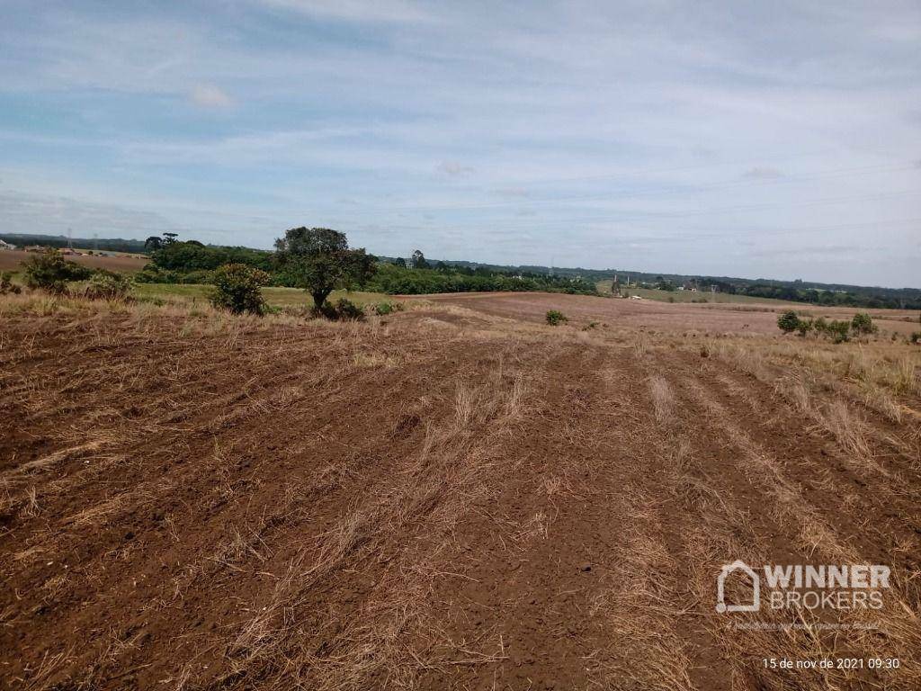 Terreno à venda, 41125M2 - Foto 14