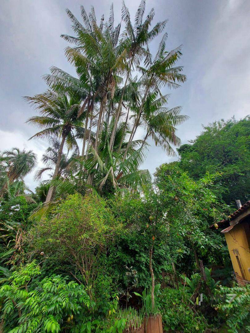 Chácara à venda com 3 quartos, 15000M2 - Foto 6