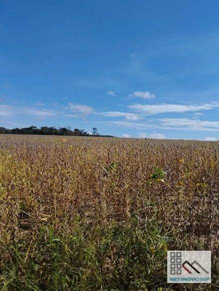 Fazenda à venda com 5 quartos, 500m² - Foto 8