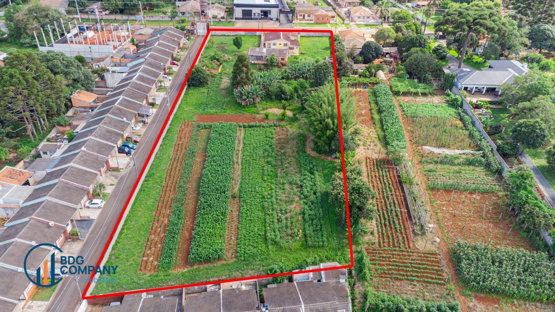 Terreno, 6264 m² - Foto 12