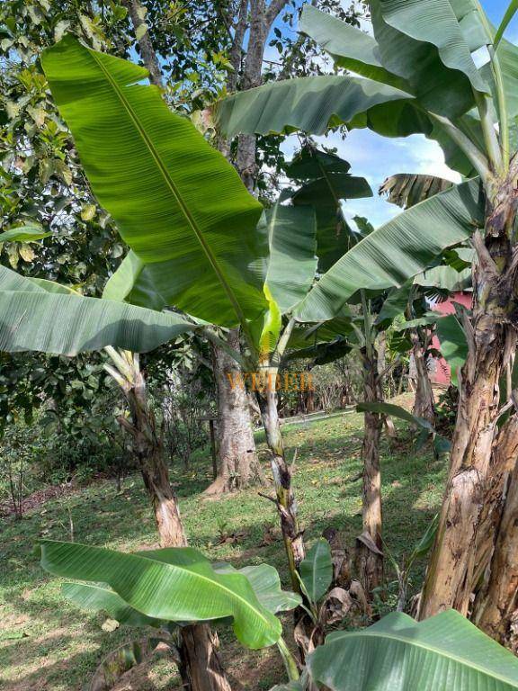 Chácara à venda com 4 quartos, 1600M2 - Foto 19