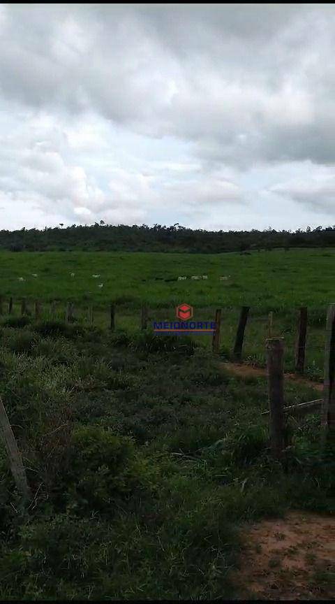 Fazenda à venda com 1 quarto, 10000M2 - Foto 11