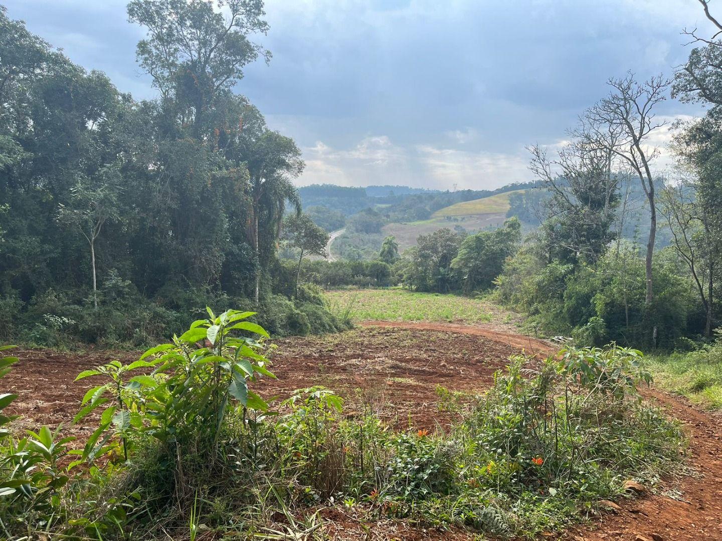 Terreno à venda, 30000m² - Foto 16