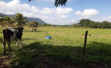 Fazenda à venda com 4 quartos, 72000m² - Foto 20