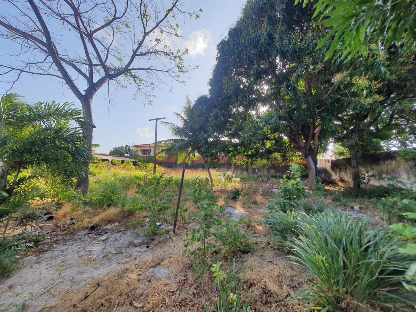 Terreno à venda, 2115m² - Foto 7