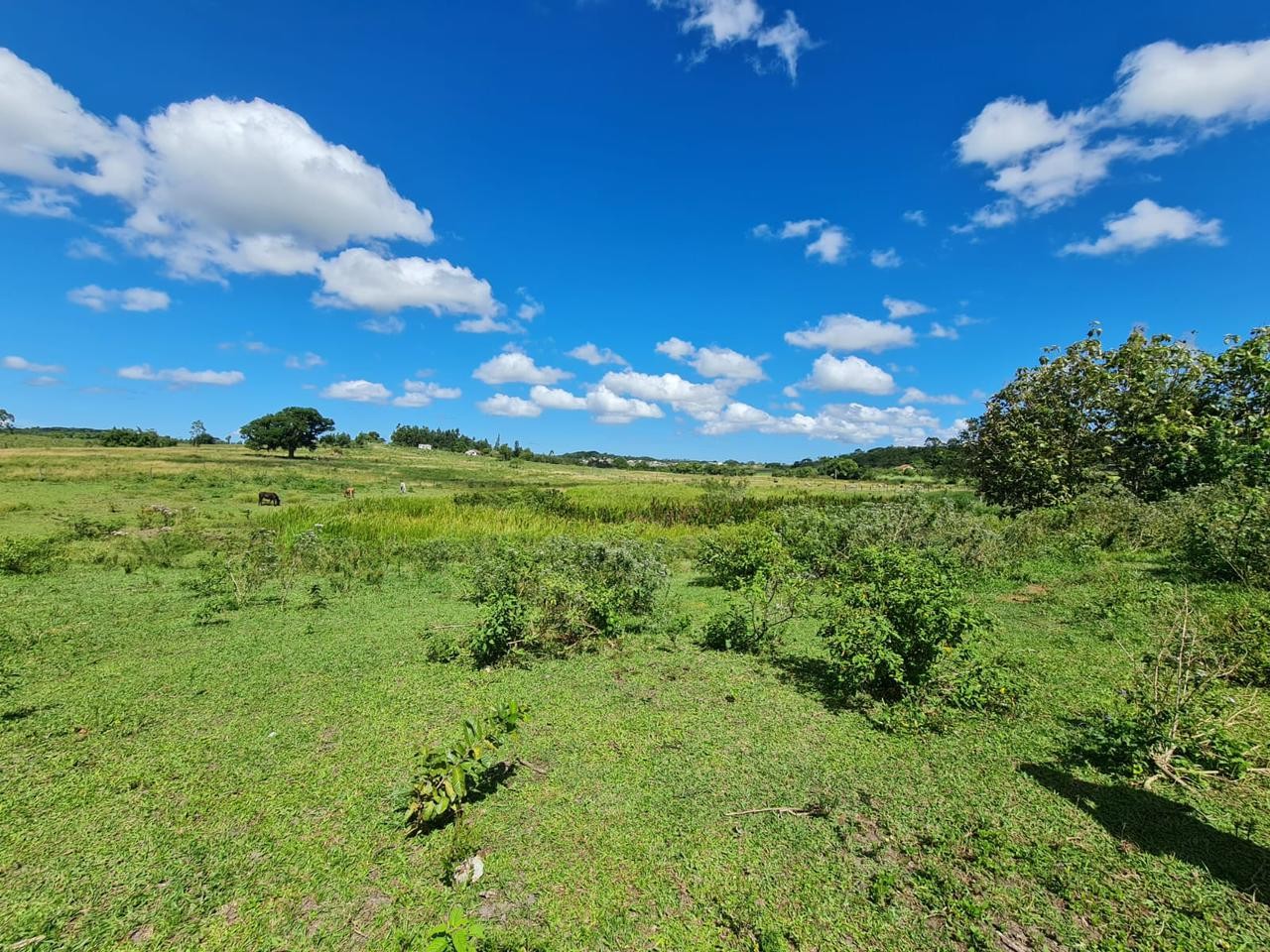 Fazenda à venda, 48400m² - Foto 43