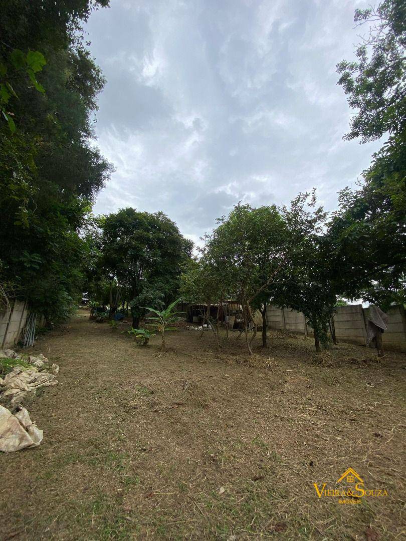 Chácara à venda com 3 quartos, 2010M2 - Foto 15