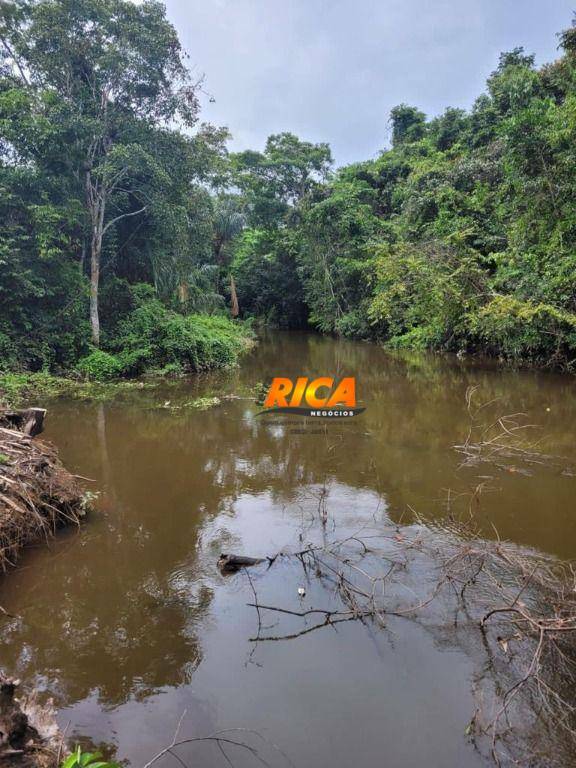 Fazenda à venda com 1 quarto, 5400000M2 - Foto 17