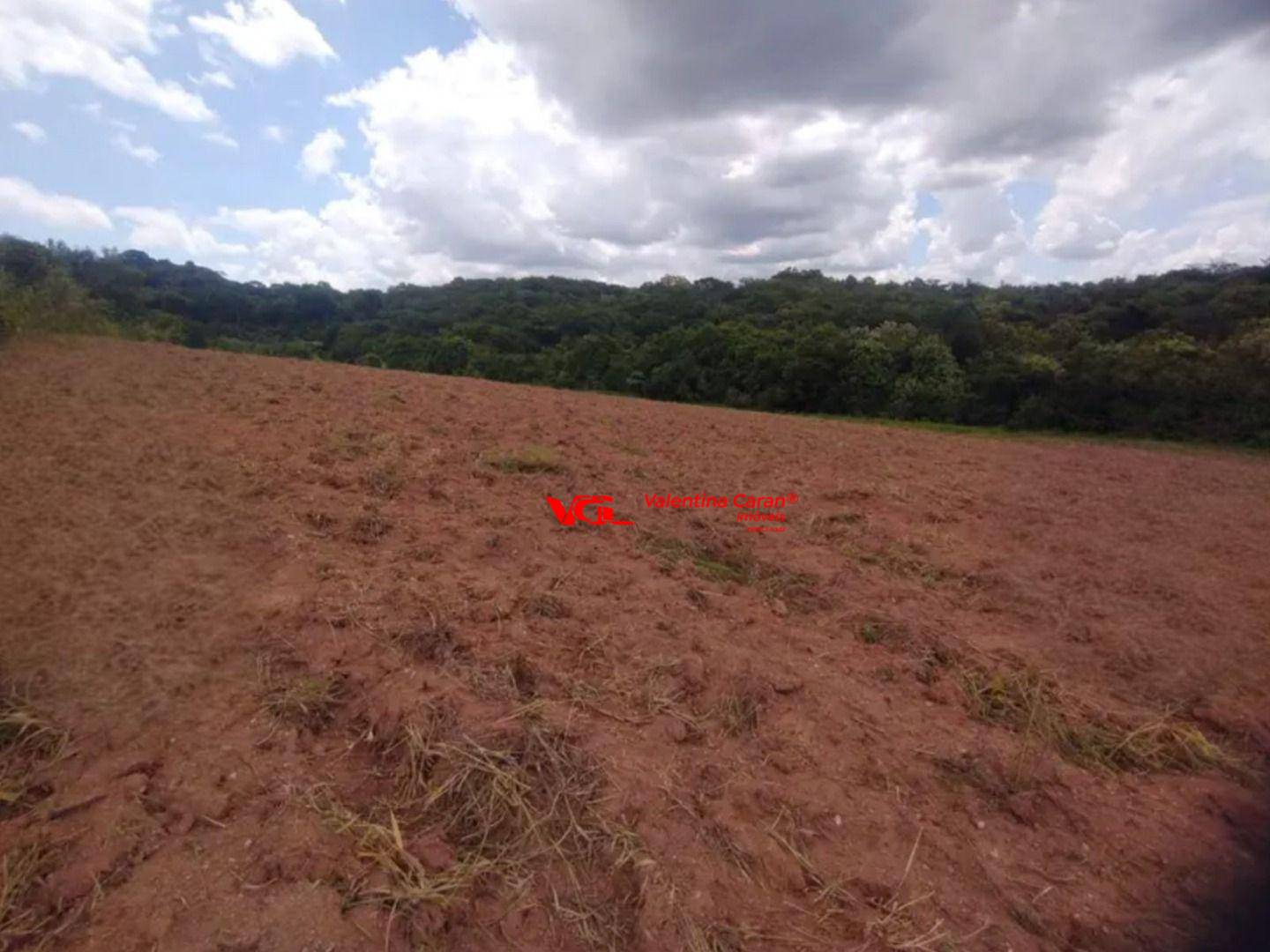 Terreno, 2 hectares - Foto 2