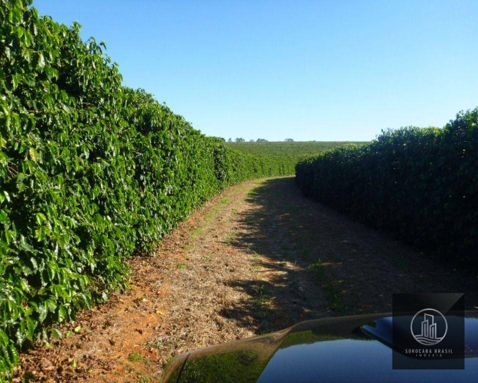 Fazenda à venda, 13170000M2 - Foto 3