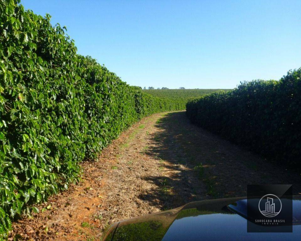 Fazenda à venda, 13170000M2 - Foto 3