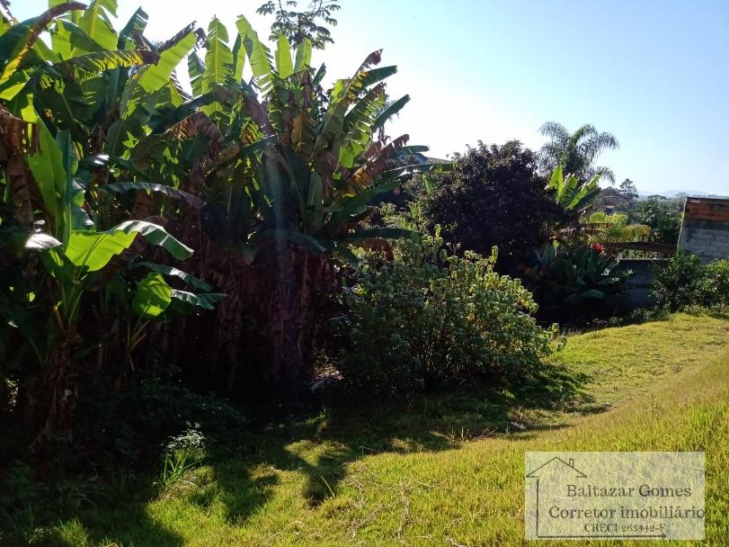 Fazenda à venda com 3 quartos, 1500m² - Foto 5