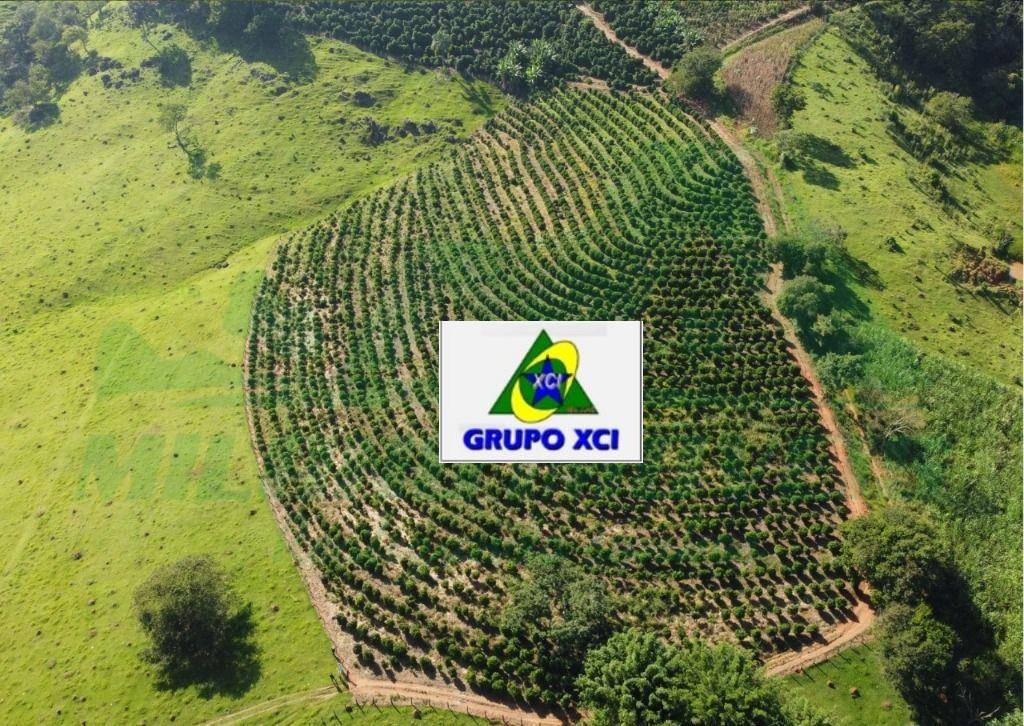 Fazenda, 109 hectares - Foto 5