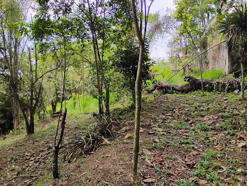 Fazenda à venda com 2 quartos, 2300m² - Foto 25