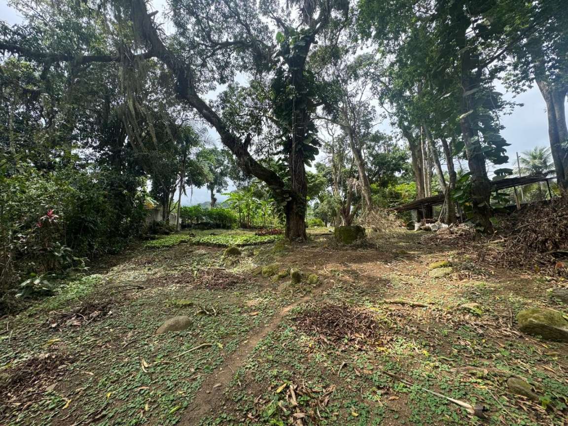 Fazenda-Sítio-Chácara, 1 hectares - Foto 4