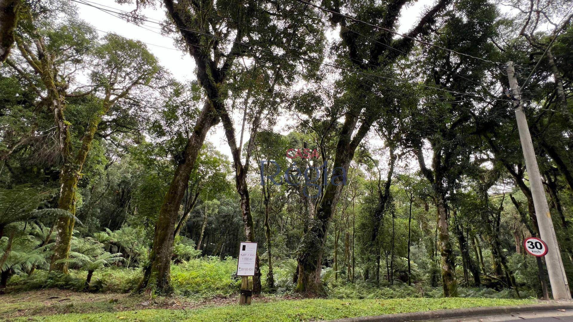 Loteamento e Condomínio à venda, 1024M2 - Foto 6