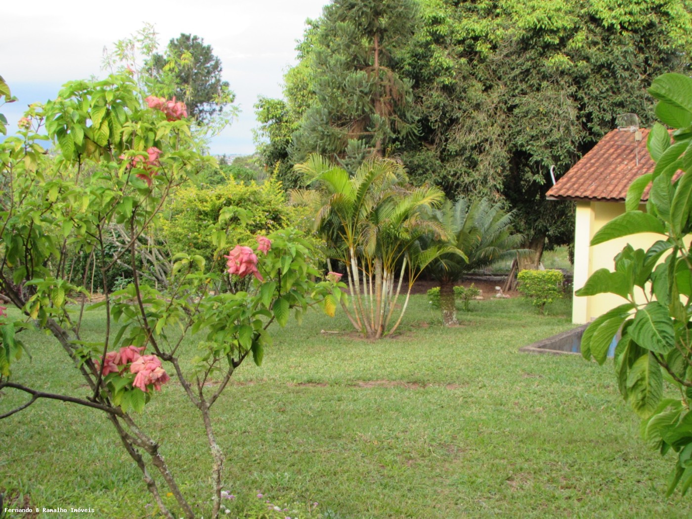 Chácara à venda com 6 quartos, 6000m² - Foto 38