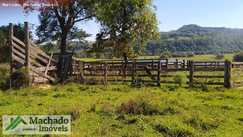 Fazenda à venda, 440000m² - Foto 3